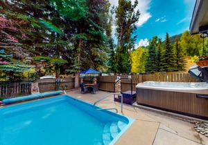 Lodge ∙ 4 guests in Aspen