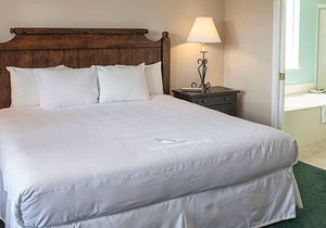 Palace View by Spinnaker 1br suite, Saturday check-in in Branson