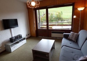Studio confortable 25m² pour 4 personnes au Chinaillon - FR-1-458-113 in Le Grand-Bornand