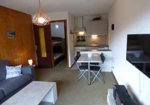 Studio confortable 25m² pour 4 personnes au Chinaillon - FR-1-458-113 in Le Grand-Bornand
