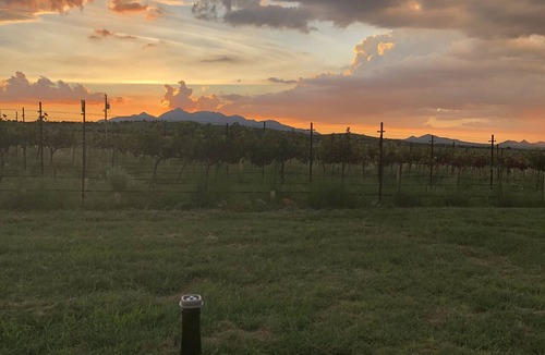 Elgin Cottage | Anam Cara Vineyard. Romantic Vineyard Cottage with sweeping views