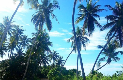 Dhangethi Bed & Breakfast | Deluxe room - Beachfront villa in Dhangethi (bnb)