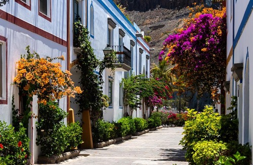 Playa de Mogan Apartment | Edificio Playa
