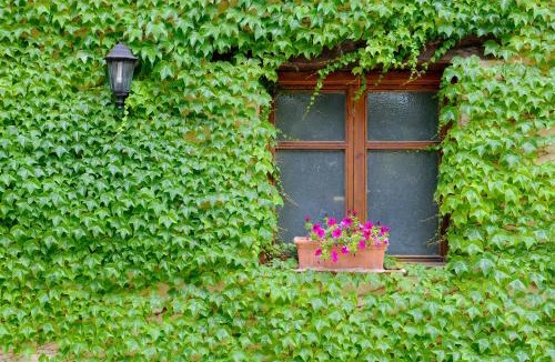 Beceite Hotel | Font del Pas