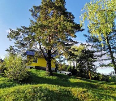 Schwanberg Ski Chalet | Pine View
