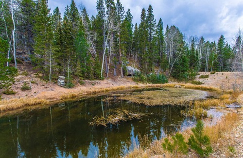 Woodland Park Cabin | Secluded Mtn cabin on 35 acres! Pikes peak view, Hottub,close to attractions!