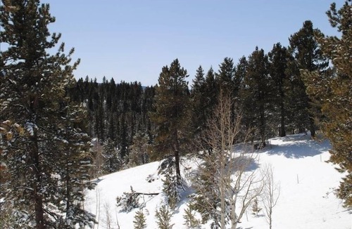 Woodland Park Cabin | Secluded Mtn cabin on 35 acres! Pikes peak view, Hottub,close to attractions!
