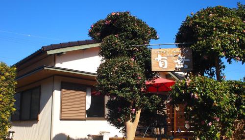 ゲストハウス有無 in Mihama