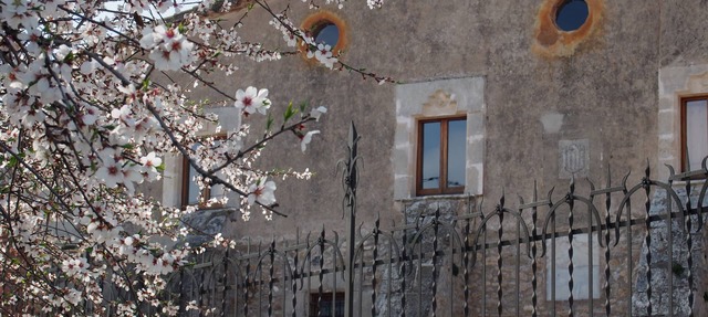 Accommodation in a winery, surrounded by biodynamic vineyards! in Grabuac