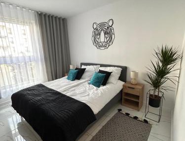 Apartament Dobrzec in Kalisz