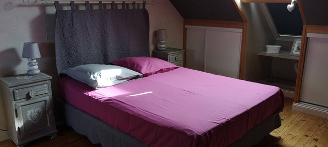 Bed and Breakfast Blue Elephants Room "Elephants" in Onzain