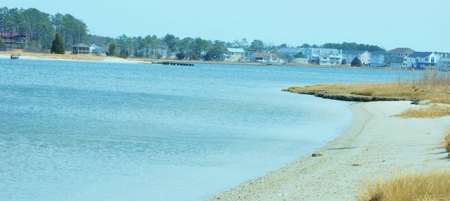 BETHANY BAY LUXURY RESORT.SHABBY CHIC CONDO LOCATED ON GOLF COURSE! in Ocean View