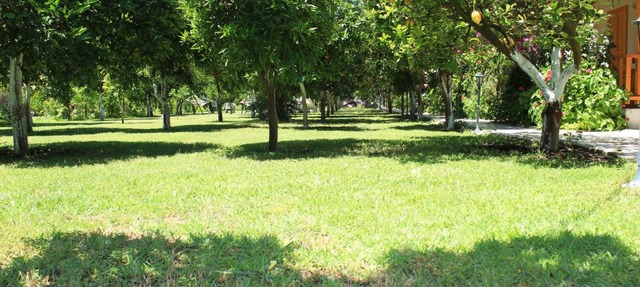 Blue Paradise Pension in Cıralı