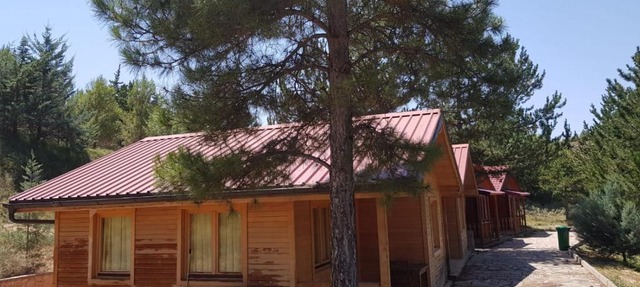 Camping las cabañas in Martín del Río
