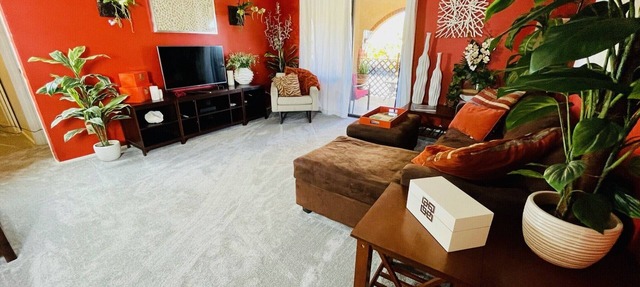 Charming 1 bdr with mountain view in Tucson