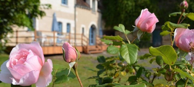 Charming 1840 Cottage with Garden, Near Loches & Loire Castles – Family & Pet Friendly in Chambourg-sur-Indre