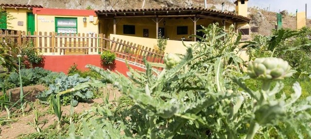 COMFORTABLE CAVE HOUSE SURROUNDED BY TRAILS, NATURE AND LANDSCAPES in San Cristobal de la Laguna