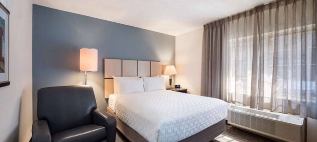 Convenient Stay, Superb Location! 2 Relaxing Units, Pets are Allowed Here! in Ann Arbor
