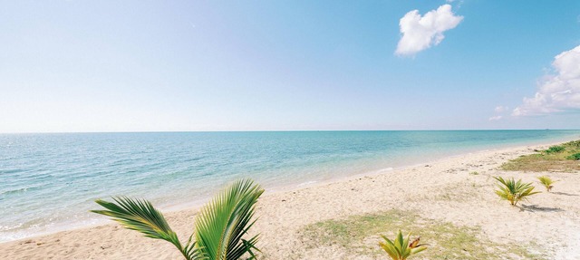 Coral Condominium - Studio Cabana overlooking the ocean in peaceful Nassau in Nassau