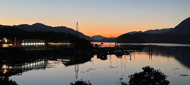 Endless views at Inlet Retreat! Relax in a centrally located beautiful studio! in Sechelt