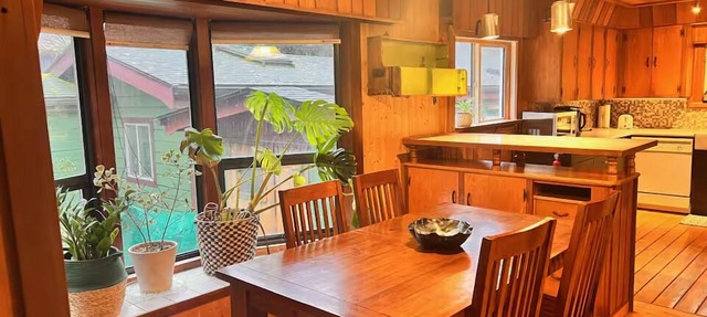 Forest Cabin in Squamish