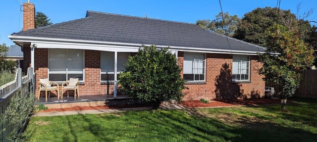 Gwendoline Cottage, Pets, Main St. Station in Croydon