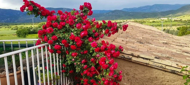 Homerez - Big chalet for 11 ppl. with shared pool and terrace at Sieso de Huesca in Sieso de Huesca