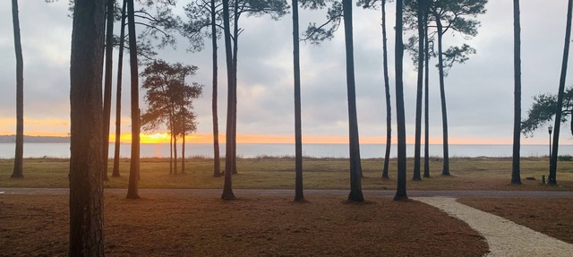 JonBie Maisons Beach Break Cottage Oceanfront Golf cart included with booking in Daufuskie Island