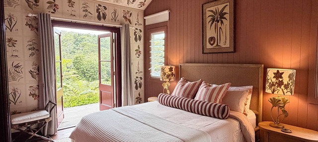 Lily Pond Views | Cosy Rainforest Cottage | Byron Bay Hinterland in Dorroughby