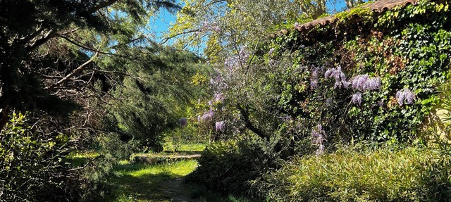 Mas Authentique Dans les Alpilles à 5 mn de Saint Rémy de Provence in Graveson