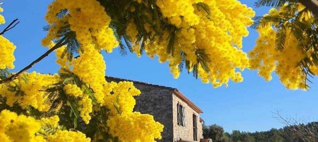 MAS LA CASSANYA in Terrades