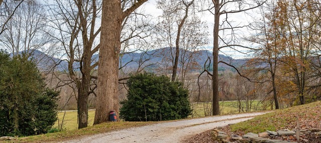 May Acres Cottage -South Asheville amidst 15 acres with sunrise & mountain views in Fletcher