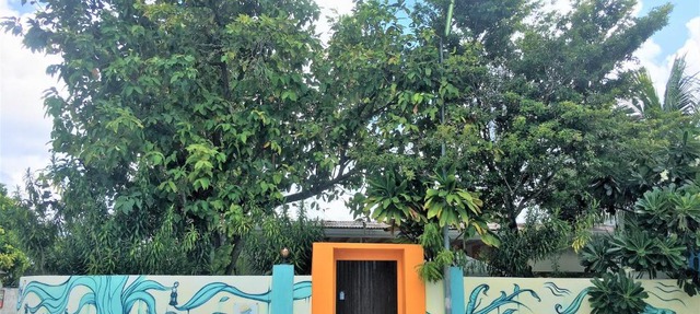 Midsummer Thulusdhoo in Thulusdhoo