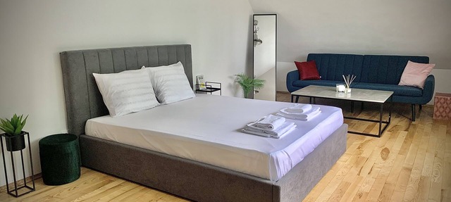 Modern apartment in Scandinavian style with a unique view of Vitosha in Sofia
