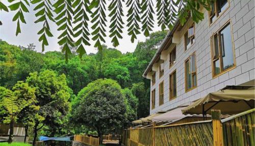 Mount Emei Bamboo Private Hot Spring Bed and Breakfast in Leshan