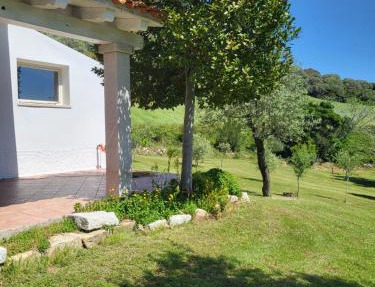 NASTARRE' in Berchidda