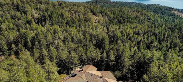 Ocean-view estate surrounded by trees, perched atop Mount Matheson. Sleeps 12! in Sooke