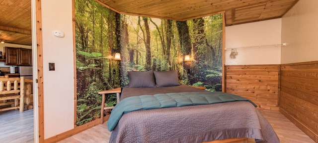 OceanFront Cottage, Beachwander for miles &/or explore the Olympic National Park in Sekiu