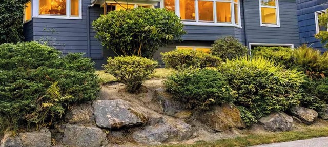 Open Layout w/Patio! Cozy 2BR by the UW Arboretum in Seattle