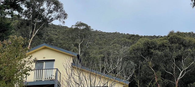 'Pippa's Place' Family friendly, newly renovated sanctuary atop Mt Little Joe in Warburton