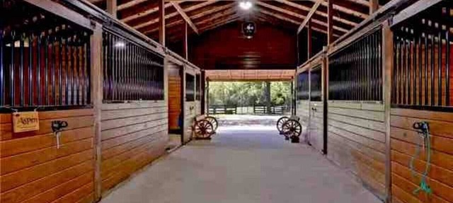 Private Cottage on Horse Farm in Williamsburg! in Williamsburg