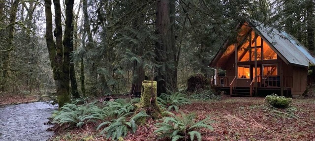 Pull out and relax in the Retro Cabin in Maple Falls