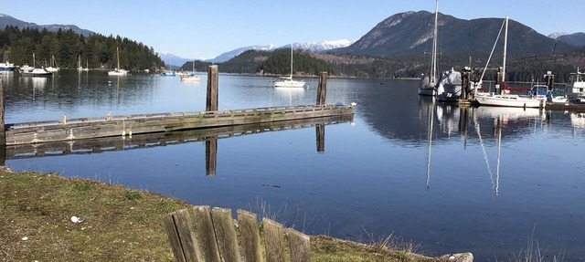Raven Cabin on waterfront property of Porpoise Bay with beach access. in Sechelt