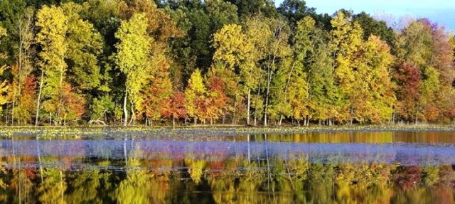 Rest & Relaxation in Marcellus