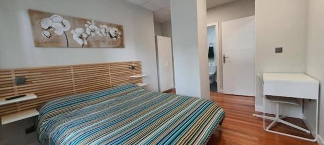 Room with Private Bathroom in front of Guggenheim. Riverview. Optional Parking in Bilbao
