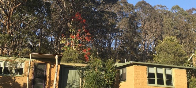 Rustic mudbrick cottage in a quiet bush setting, near Tathra. 2 beds, sleeps 4. in Tanja