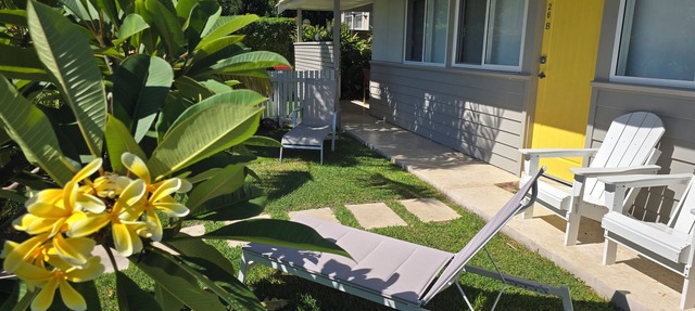 SAND Cottage- Light, breezy. 1 min walk to Currarong Beach. in Currarong