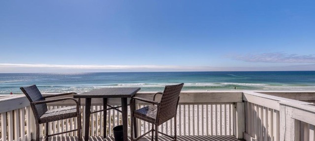 Sand Dollar in Destin