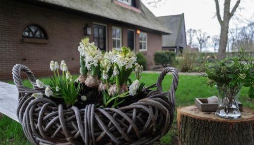 't Rheebokje in Uddel