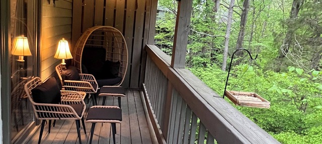 The Eagle's Nest & Bird Watching in Bloomington